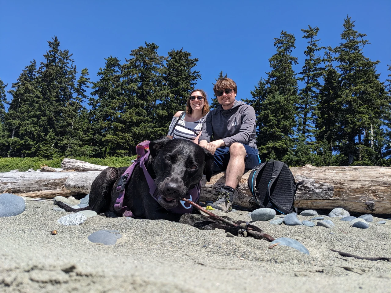 Hannah and Mike sitting on a sunny beach with Luna in the foreground